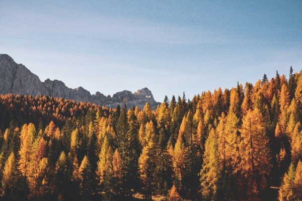 Hallo september: onze favoriete herfst-reset-tips voor elk budget