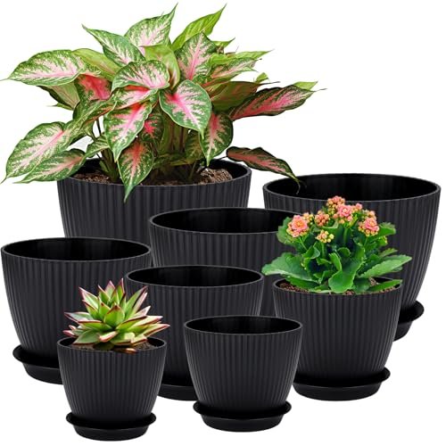 Plastic Bloempot Set, 8 Stuks Bloempot Met Gat, Ronde Schotel, Kleine Potten Cactussen, Kruidenpot Set, Plantenbak Ideaal Voor Kantoor, Balkon, Vetplanten-Zwart